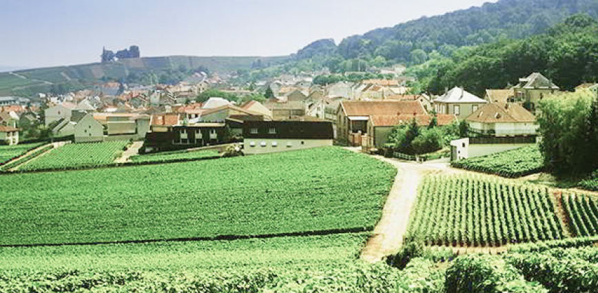 paysage